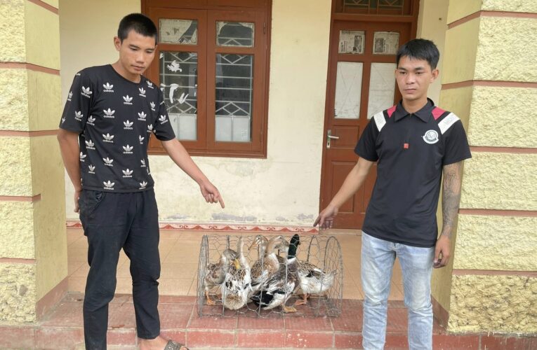 Thái Nguyên: 2 thanh niên trộm cắp vịt của người dân