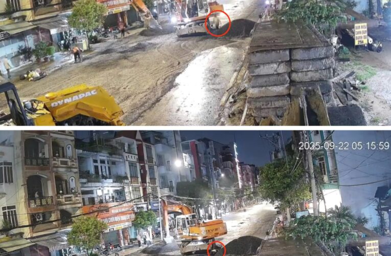 [VIDEO] Đứng gần máy xúc đang hoạt động một công nhân gặp nạn thương tâm