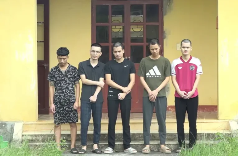 Lên mạng mua bằng lái vì nuôi con nhỏ không có thời gian đi học