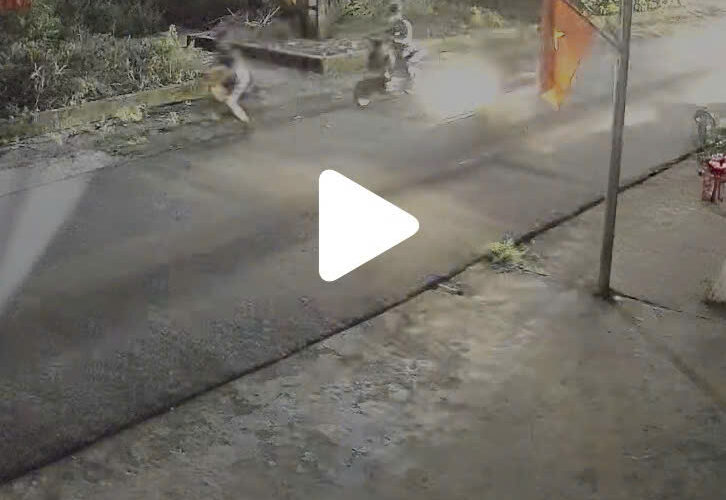 [VIDE0] Trích xuất camera các idol đi bão tại Than Muội, Chi Lăng