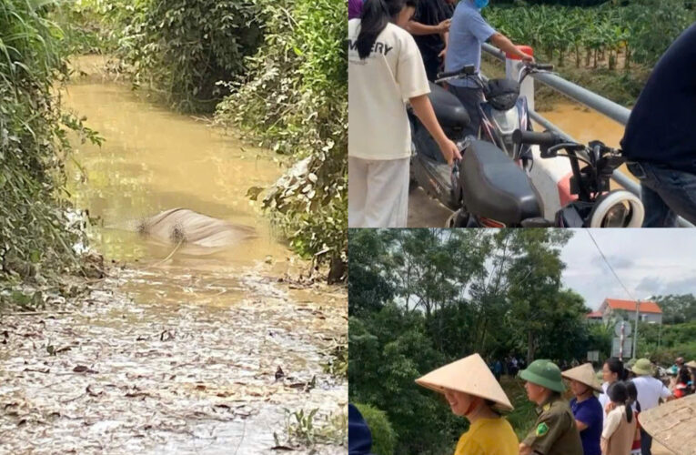 Hiện trường thương tâm tại Cai Kinh, Hữu Lũng, Lạng Sơn