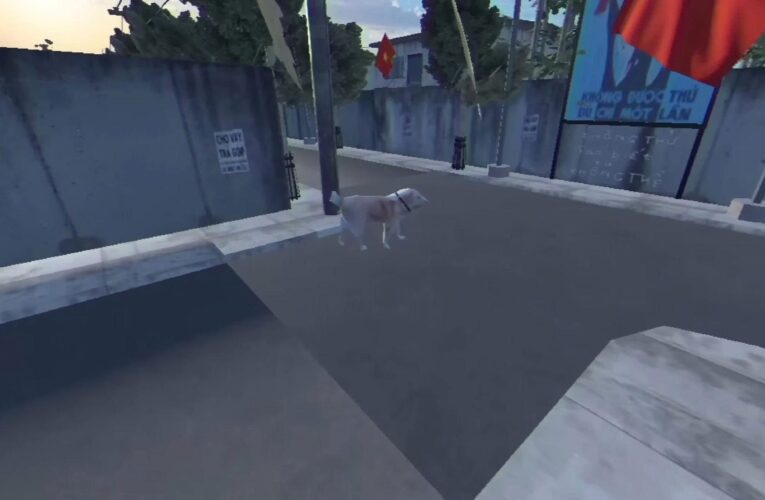 Thả rông động vật nuôi ở nơi công cộng bị phạt tới 1 triệu đồng