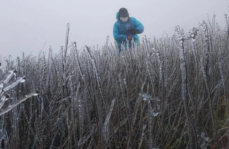 Đón không khí lạnh mạnh, miền Bắc rét nhiều ngày, có nơi dưới 5 độ C